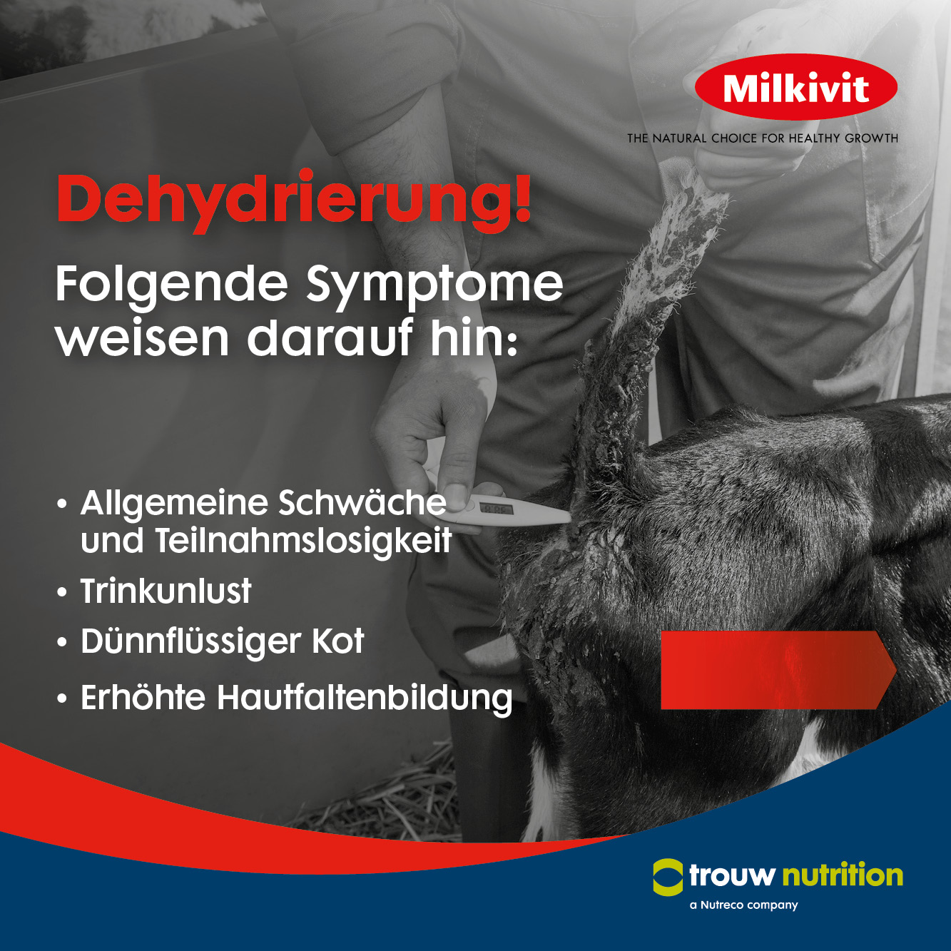 TND-665__Milki-Regulyt_01