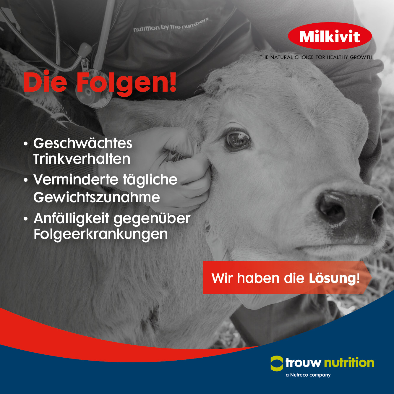 TND-665__Milki-Regulyt_02