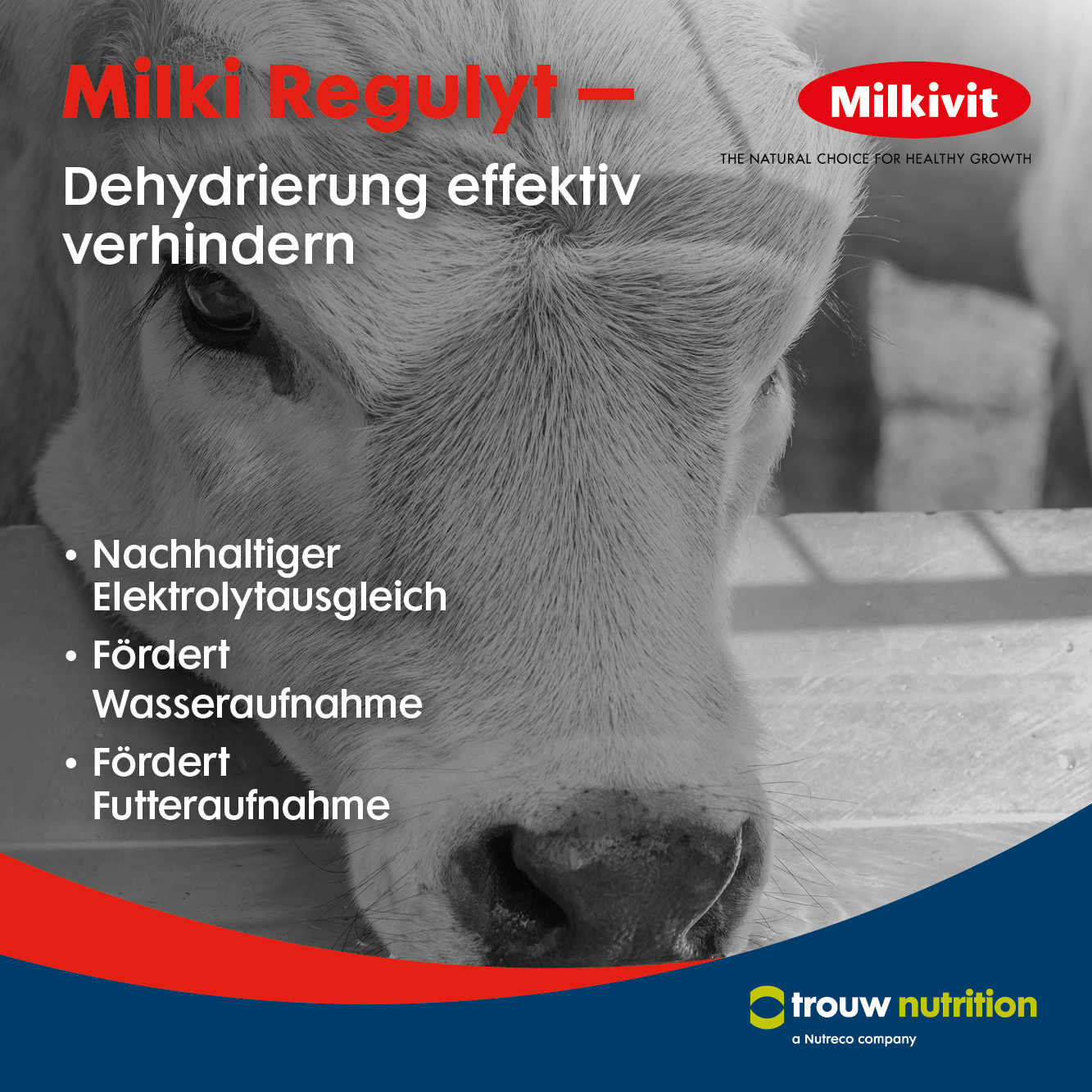 TND-665__Milki-Regulyt_03