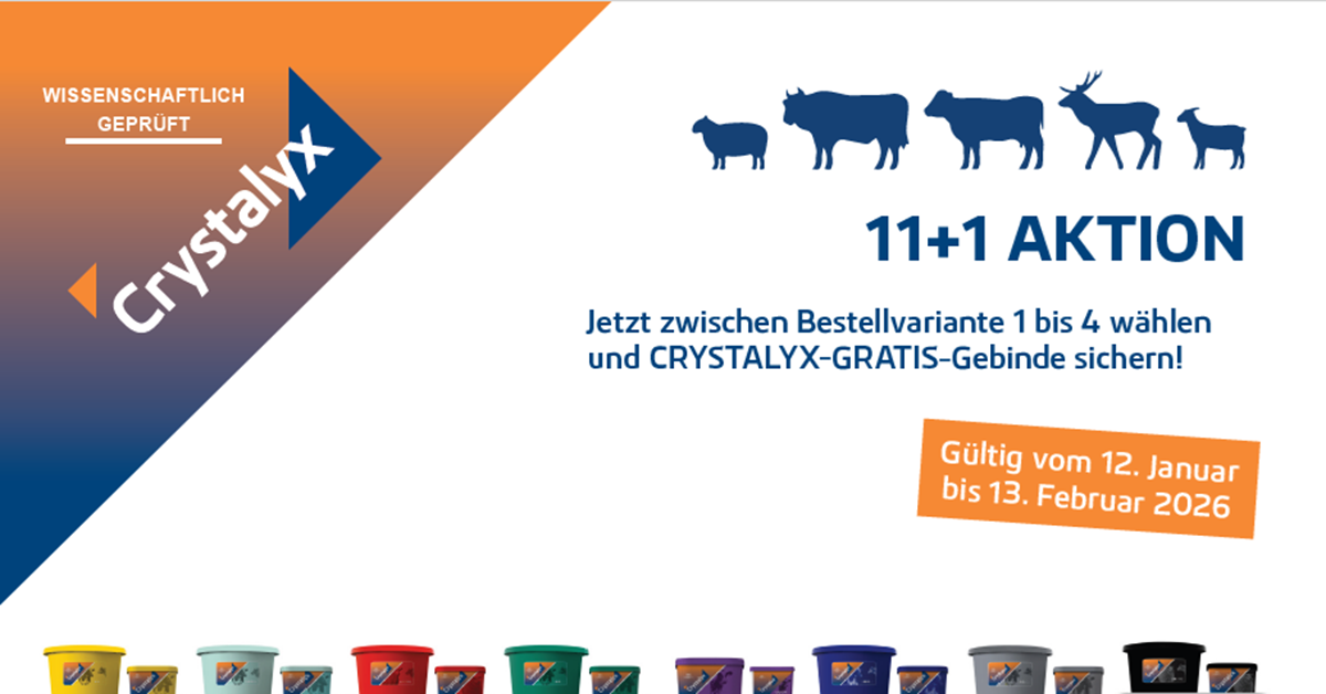 CRY 11+1 Aktion 2026-01