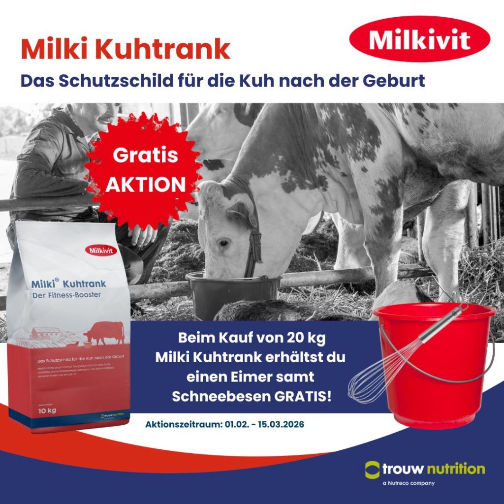 Aktion Eimer und Schneebesen