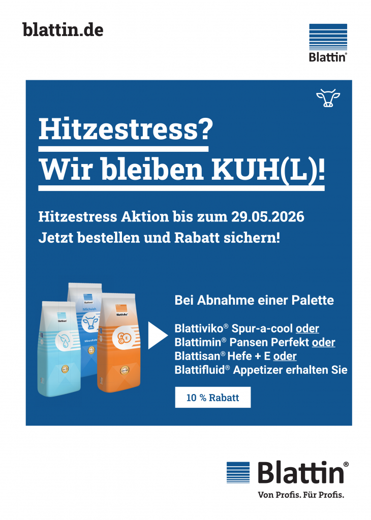 2026-04 Blattin_Rind_Hitzestress_A4_Seite1
