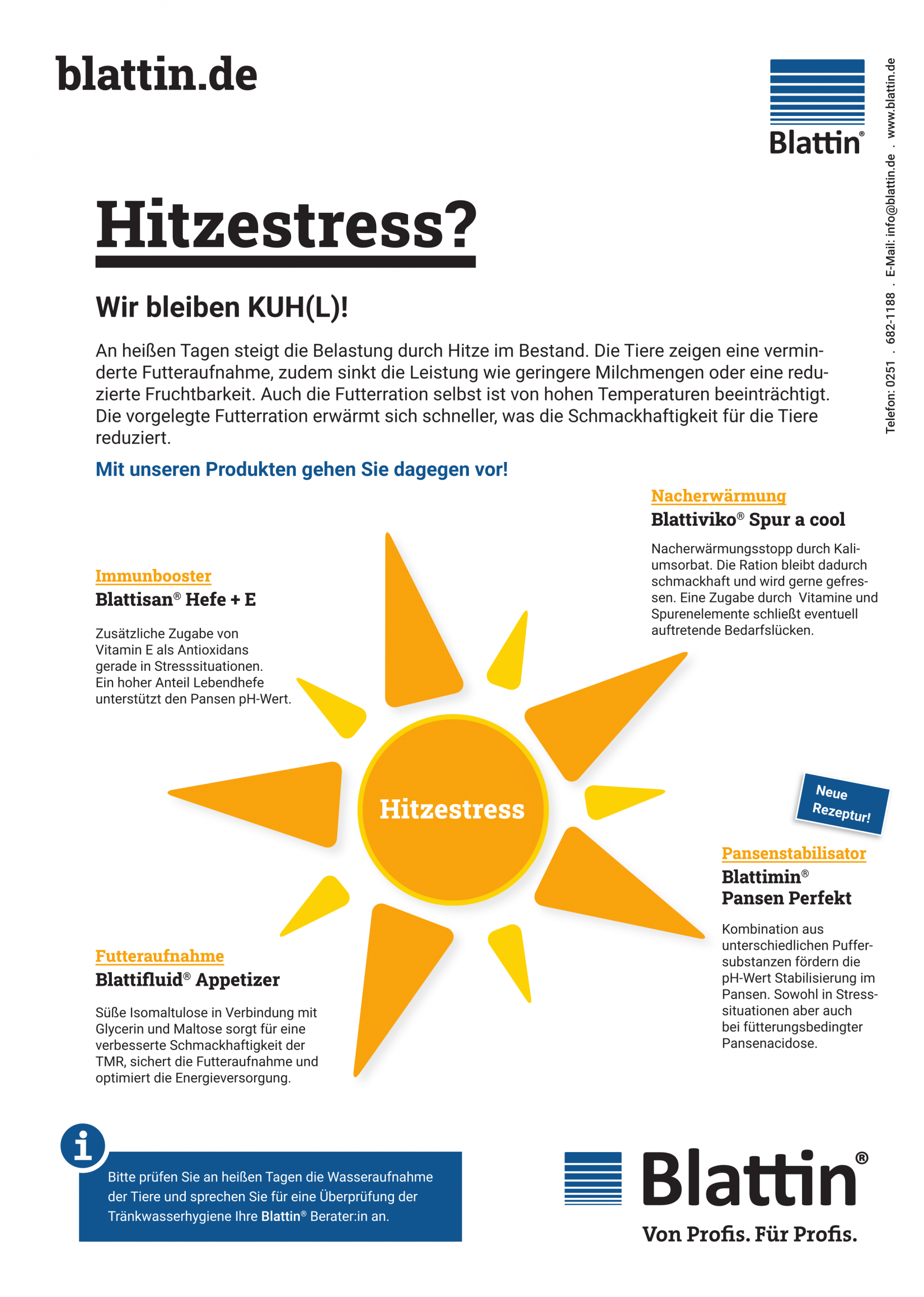 2026-04 Blattin_Rind_Hitzestress_A4_Seite2