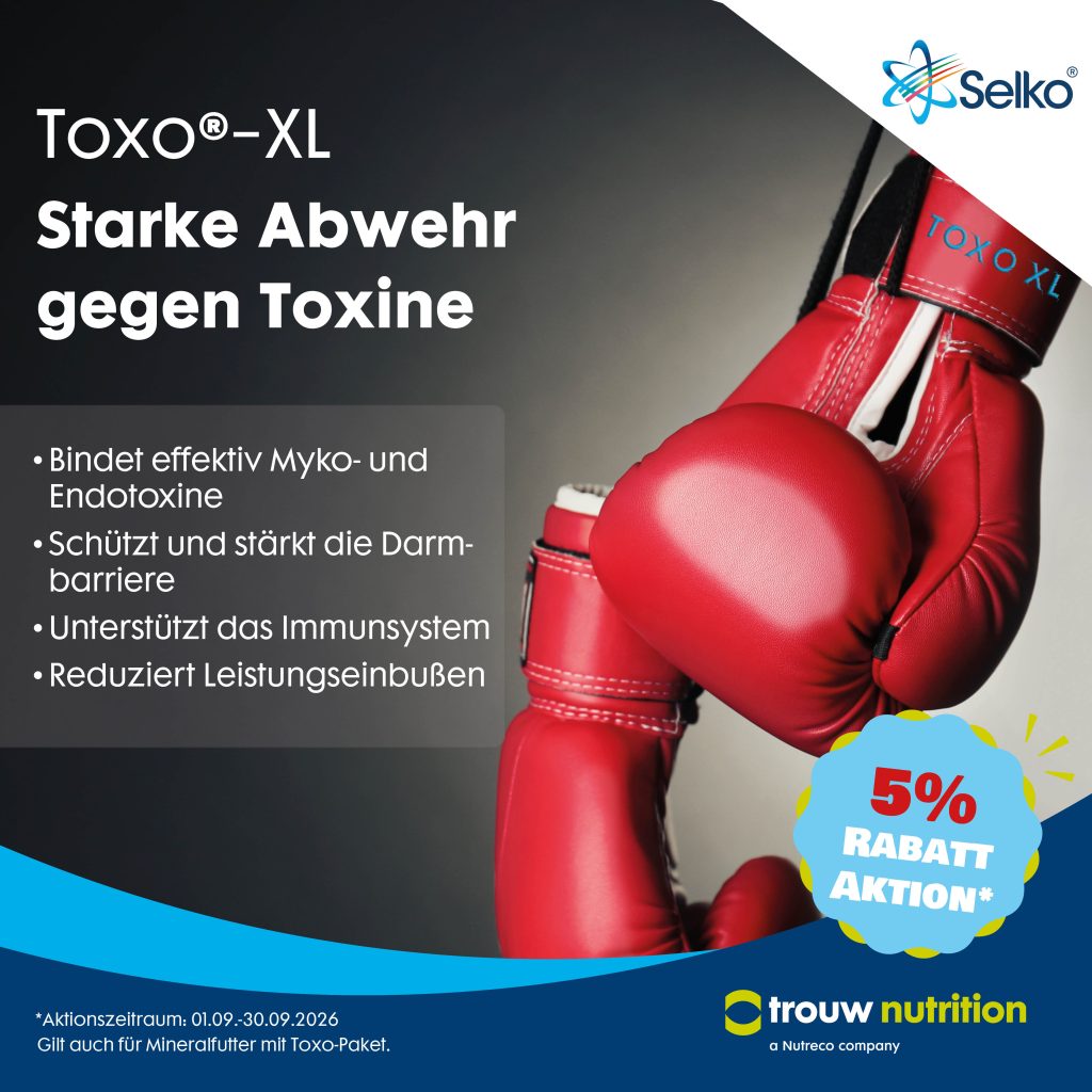 Selko Toxo XL Whats App Bild 2026