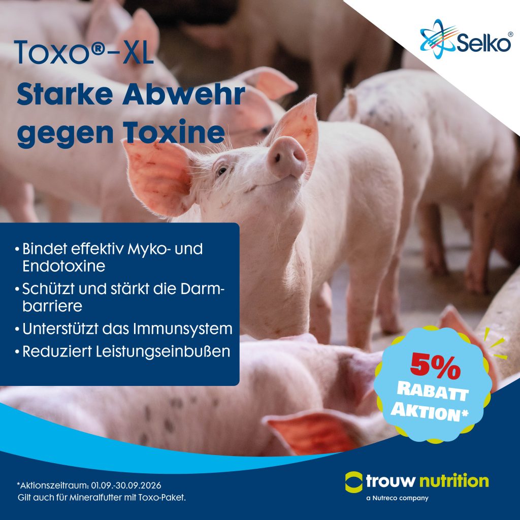 Selko Toxo XL Whats App Bild 20262