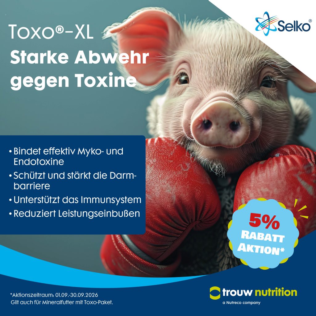 Selko Toxo XL Whats App Bild 20263