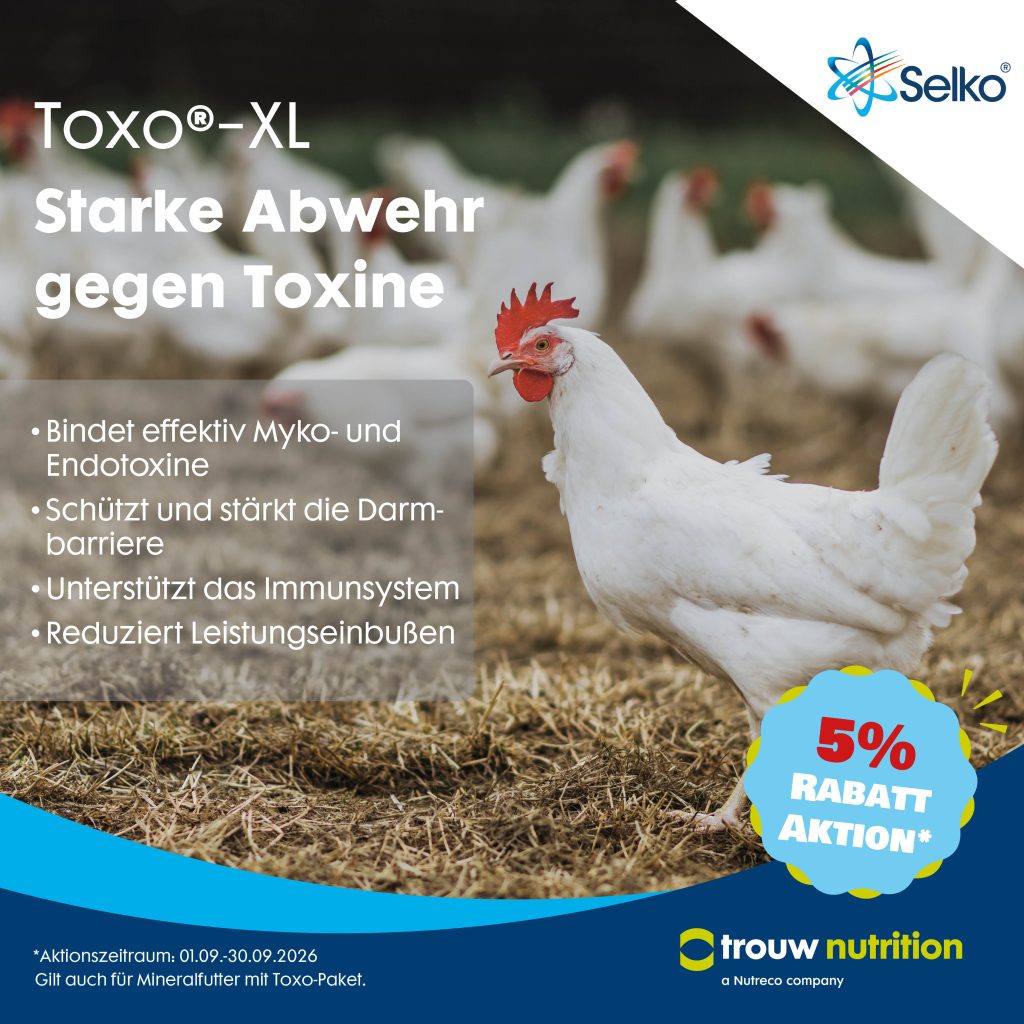 Selko Toxo XL Whats App Bild 20264