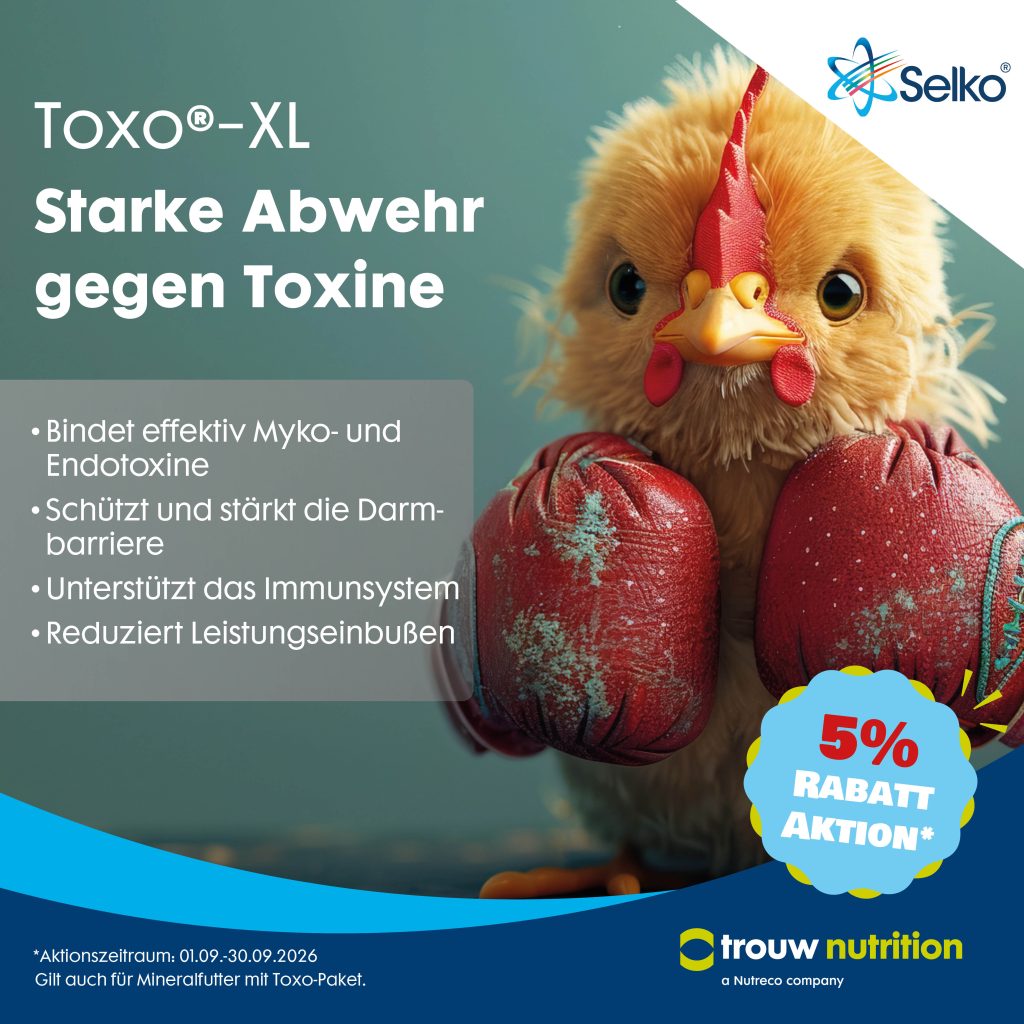 Selko Toxo XL Whats App Bild 20265