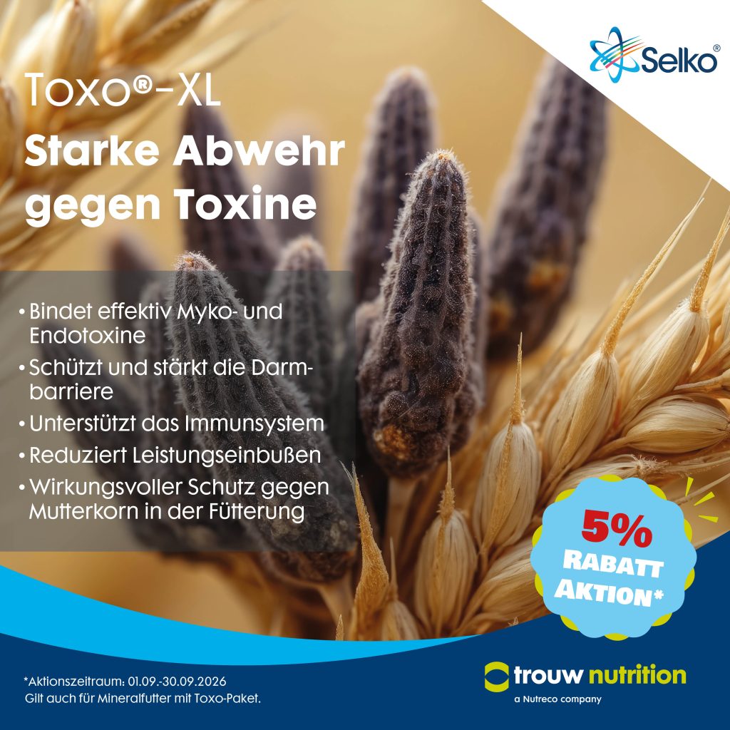 Selko Toxo XL Whats App Bild 20266